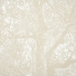 Meditabondi, barcamenanti, fuori registro e buchi bianchi